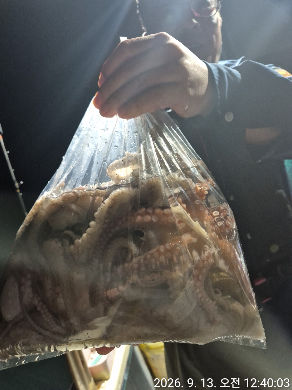 9월 13일 문어 선상낚시 조황 현장 사진 8