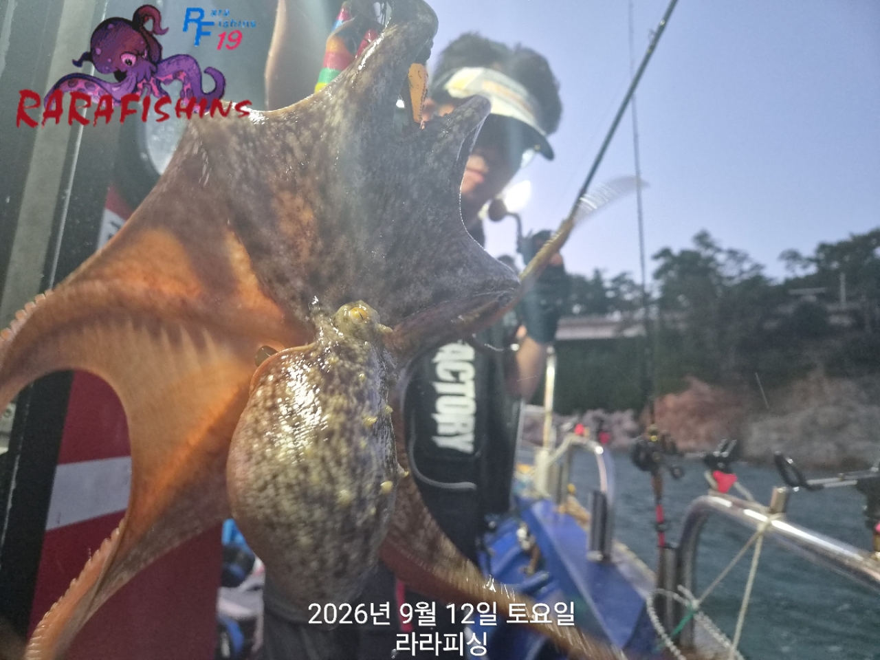 9월 12일 진해 문어 선상낚시 조황 현장 사진 3