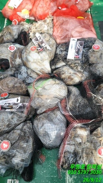 9월 12일 갑오징어 선상낚시 조황 현장 사진 2