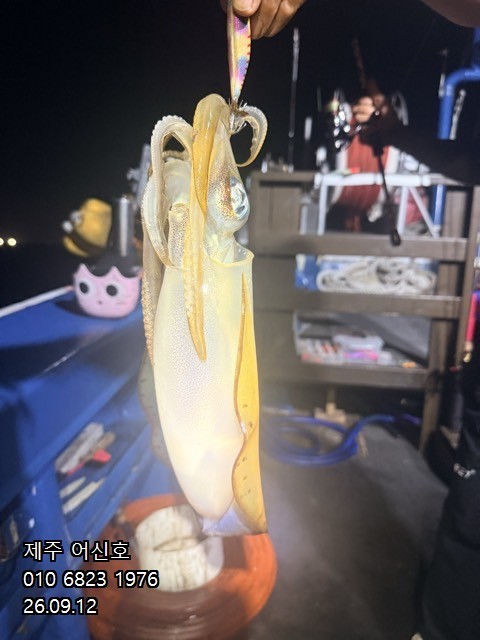 9월 11일 제주 갑오징어 선상낚시 조황 현장 사진 10