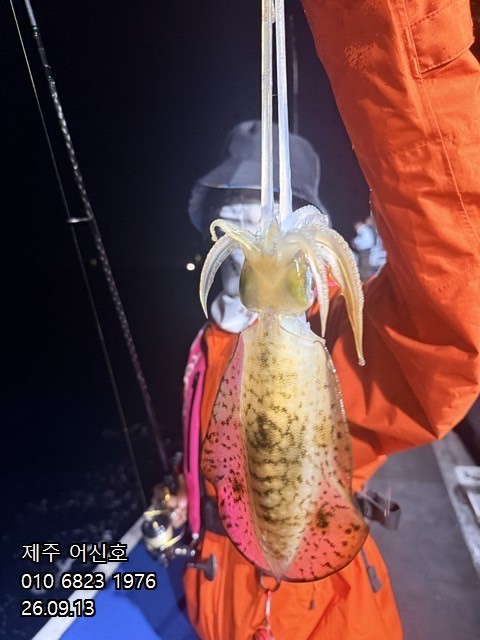 9월 12일 제주 갑오징어 선상낚시 조황 현장 사진 10