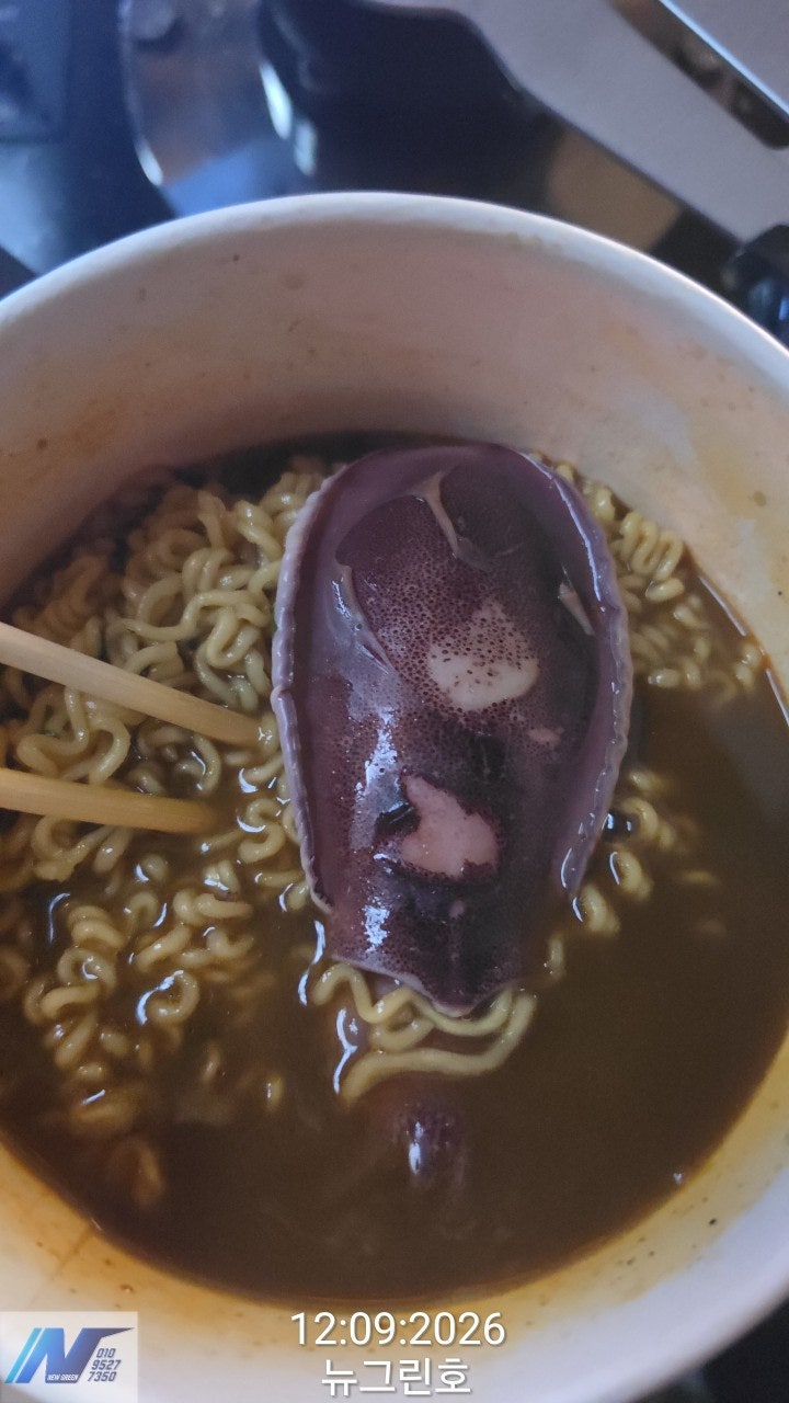 ����ڰ� �ø� �̹���
