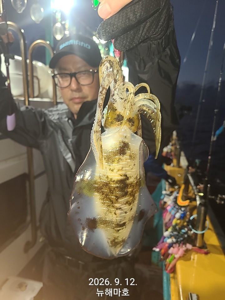 9월 13일 포항 무늬오징어 선상낚시 조황 현장 사진 16