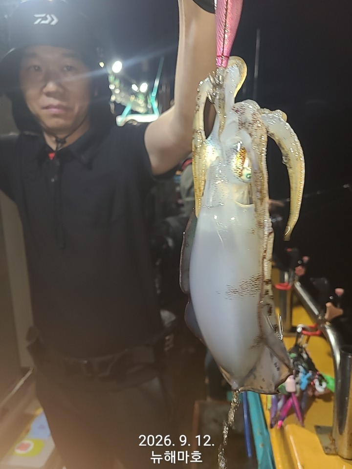 9월 13일 포항 무늬오징어 선상낚시 조황 현장 사진 10