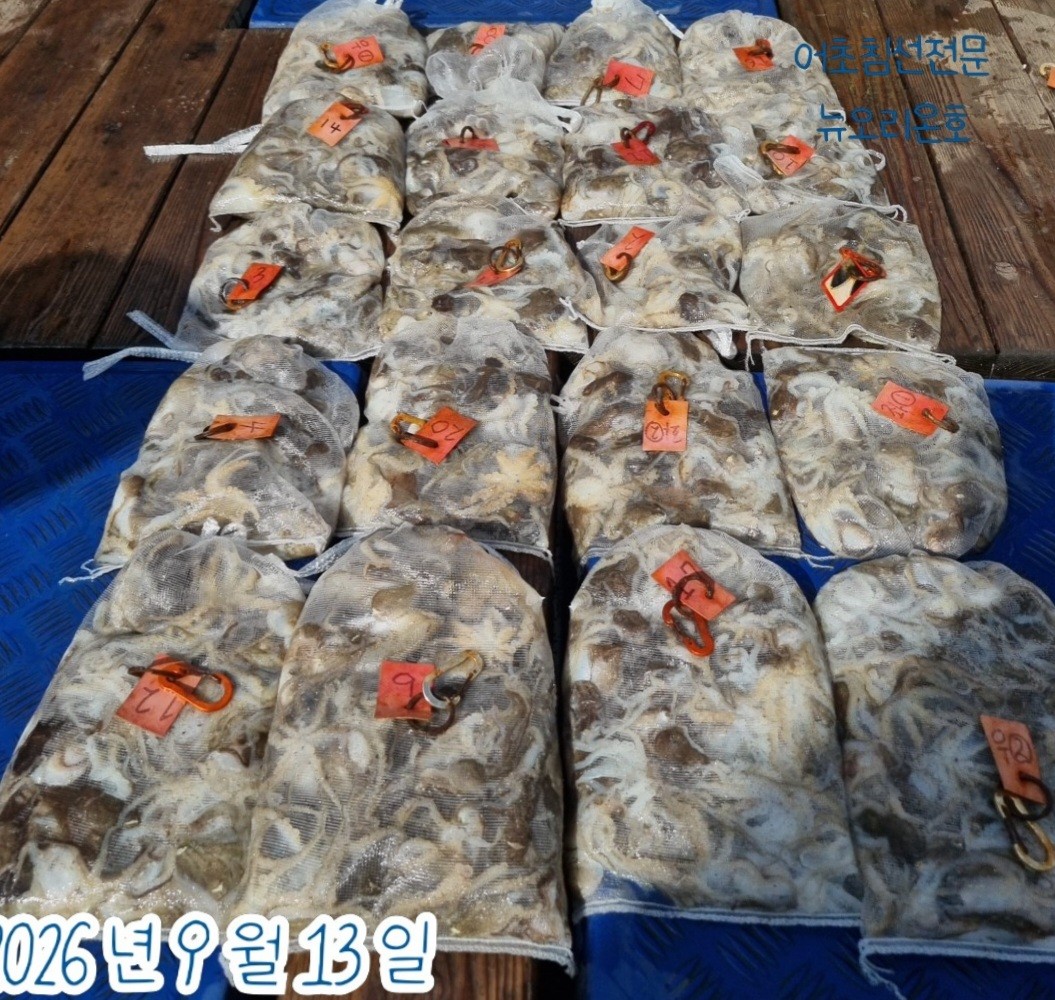 9월 13일 군산 주꾸미 선상낚시 조황 현장 사진 2
