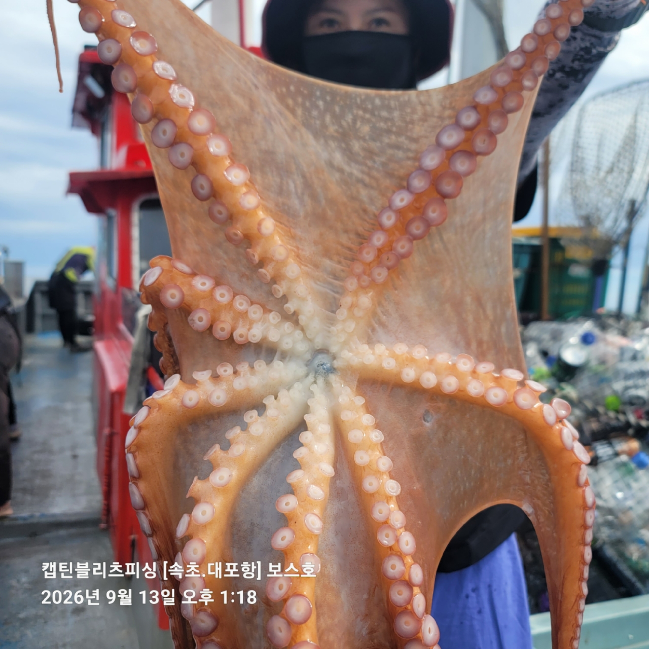9월 14일 포항 문어 선상낚시 조황 현장 사진 5