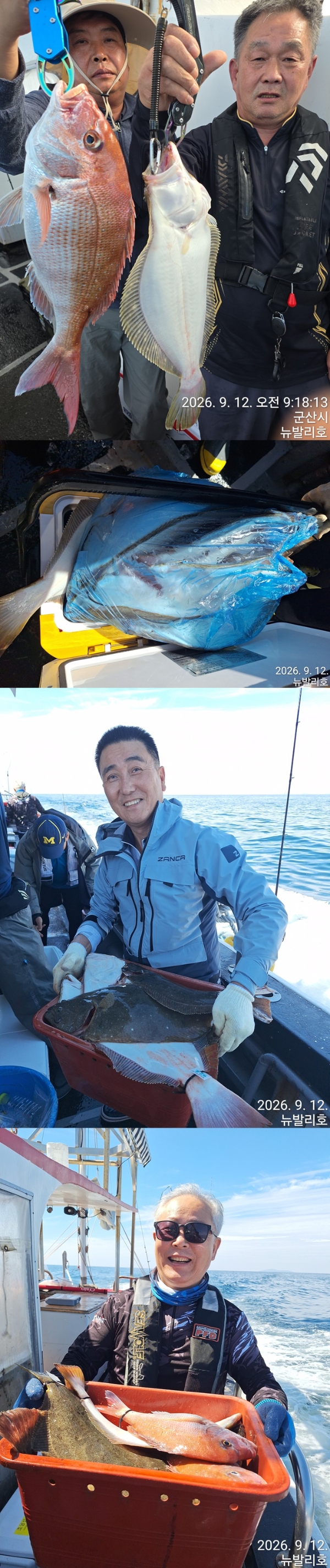9월 13일 군산 갑오징어 선상낚시 조황 현장 사진 6
