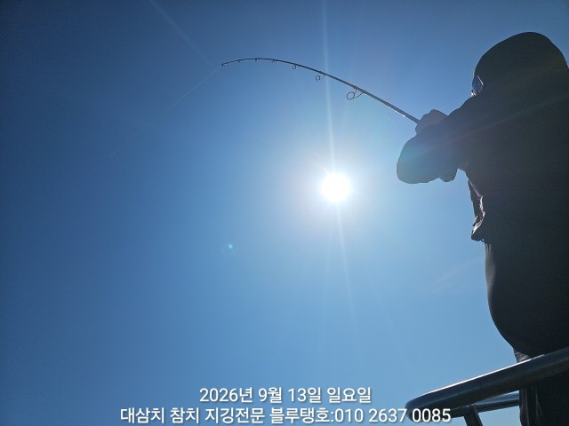 9월 13일 선상낚시 조황 현장 사진 8
