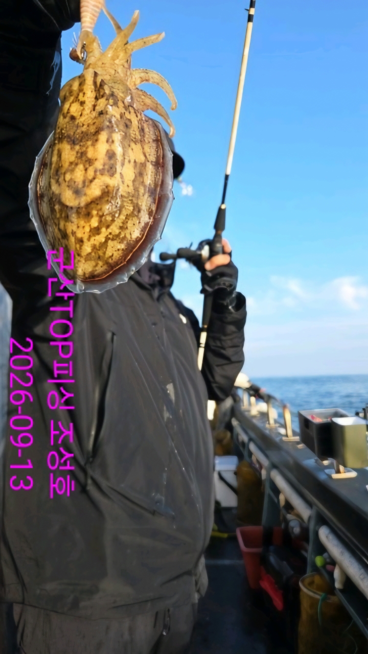 9월 13일 갑오징어 선상낚시 조황 현장 사진 3