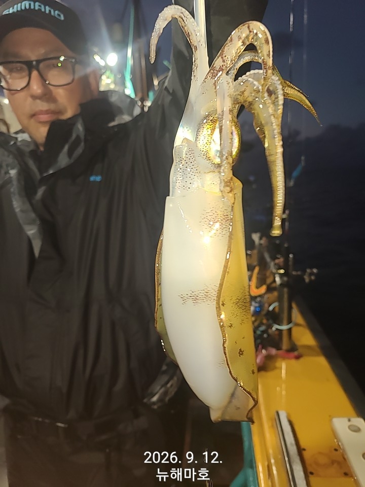 9월 13일 포항 무늬오징어 선상낚시 조황 현장 사진 17