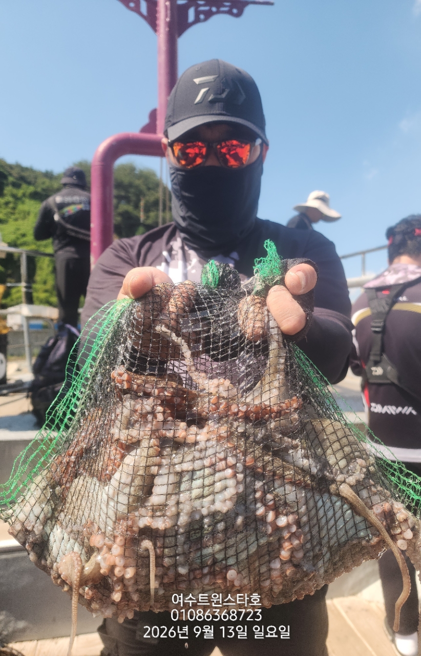9월 13일 여수 문어 선상낚시 조황 현장 사진 4