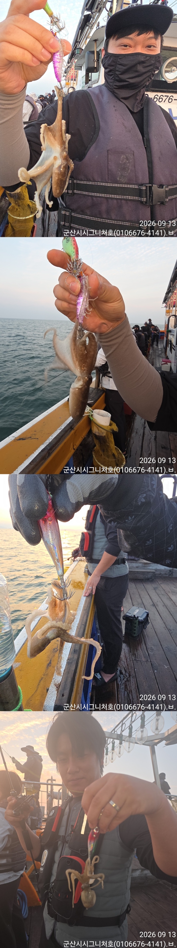 9월 13일 군산 갑오징어 선상낚시 조황 현장 사진 3