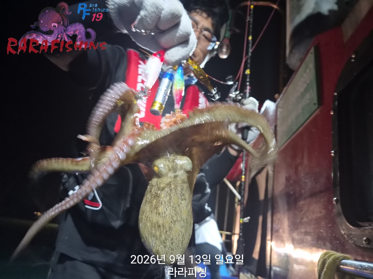 9월 13일 진해 문어 선상낚시 조황 현장 사진 9
