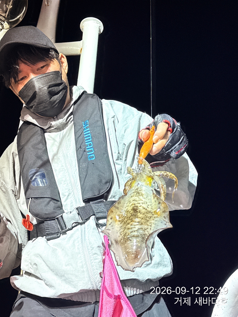 9월 13일 거제 무늬오징어 선상낚시 조황 현장 사진 10