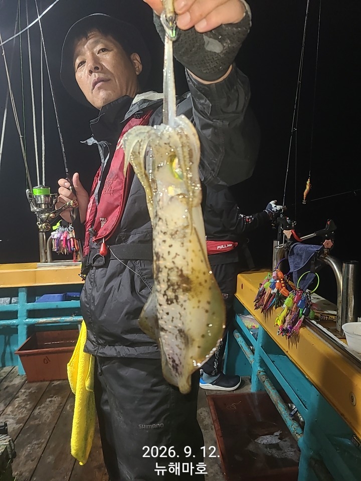9월 13일 포항 무늬오징어 선상낚시 조황 현장 사진 6