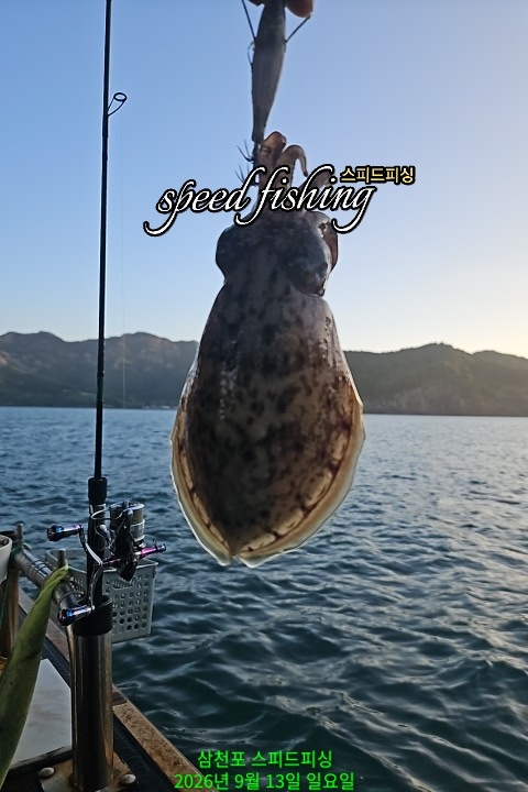 9월 13일 삼천포 갑오징어 선상낚시 조황 현장 사진 6