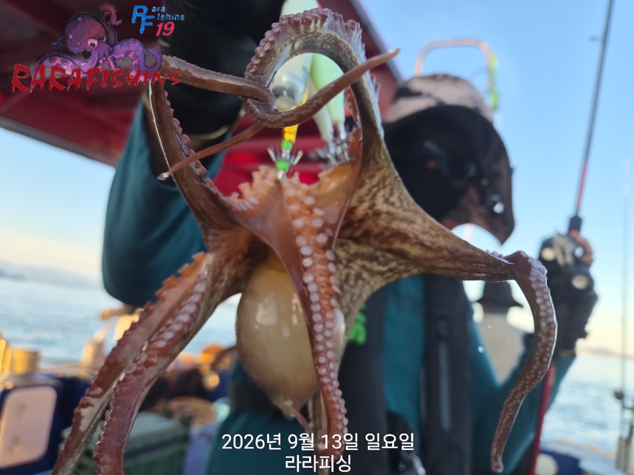 9월 13일 진해 문어 선상낚시 조황 현장 사진 4