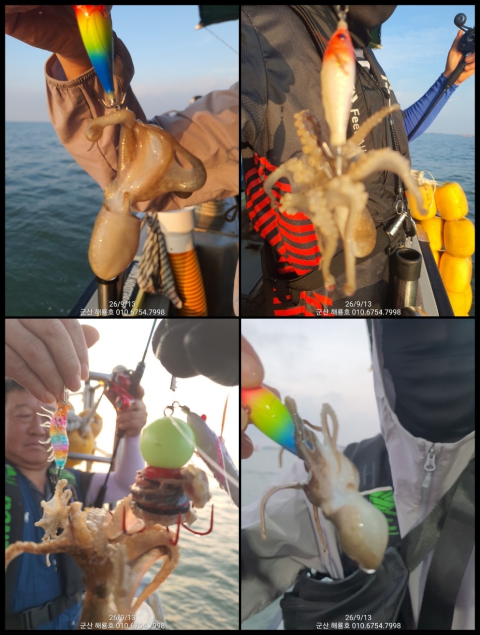 9월 13일 군산 주꾸미 선상낚시 조황 현장 사진 8
