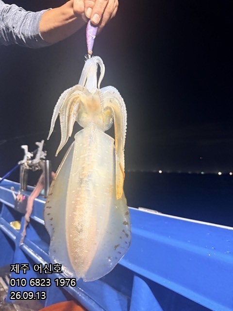 9월 12일 제주 갑오징어 선상낚시 조황 현장 사진 11