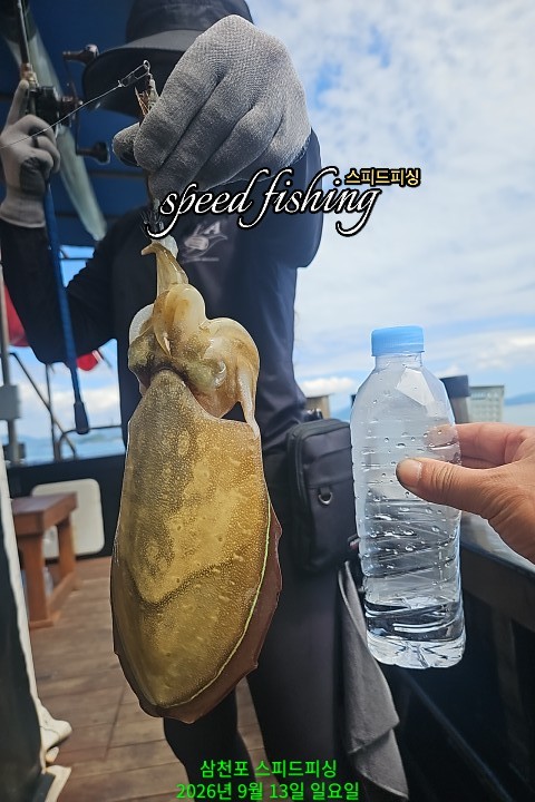 9월 13일 삼천포 갑오징어 선상낚시 조황 현장 사진 6