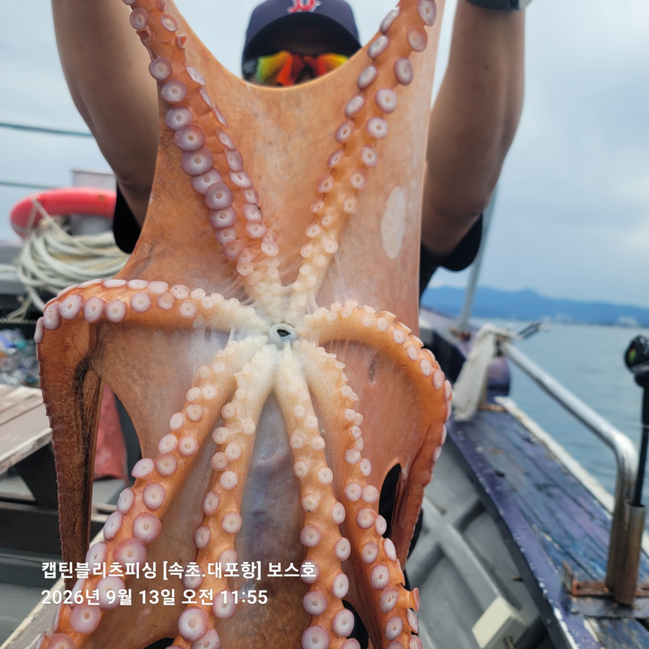 9월 14일 포항 문어 선상낚시 조황 현장 사진 1