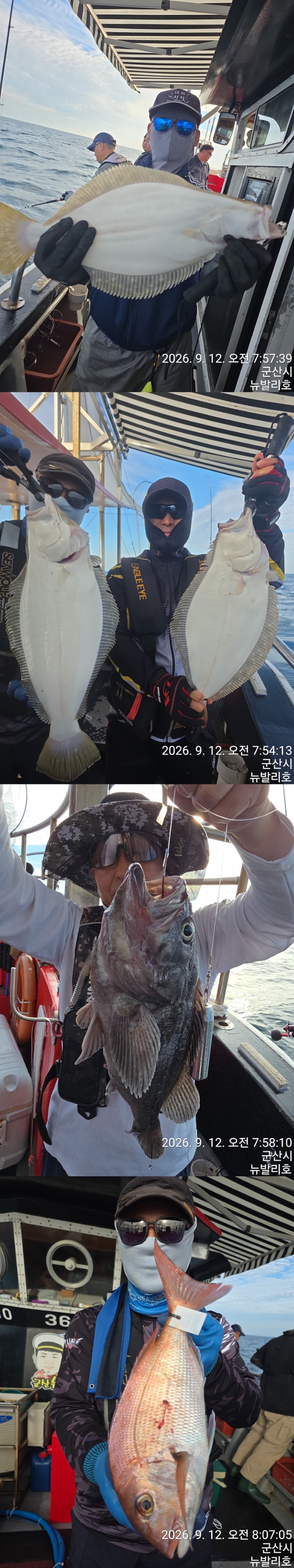 9월 13일 군산 갑오징어 선상낚시 조황 현장 사진 5