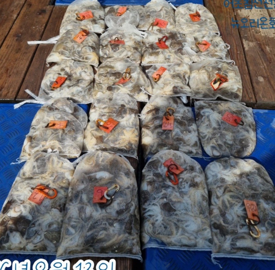 9월 13일 군산 주꾸미 선상낚시 조황 현장 사진 1