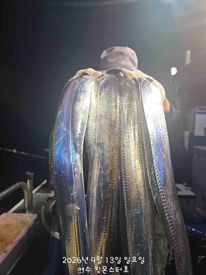 9월 15일 갈치 선상낚시 조황 현장 사진 2