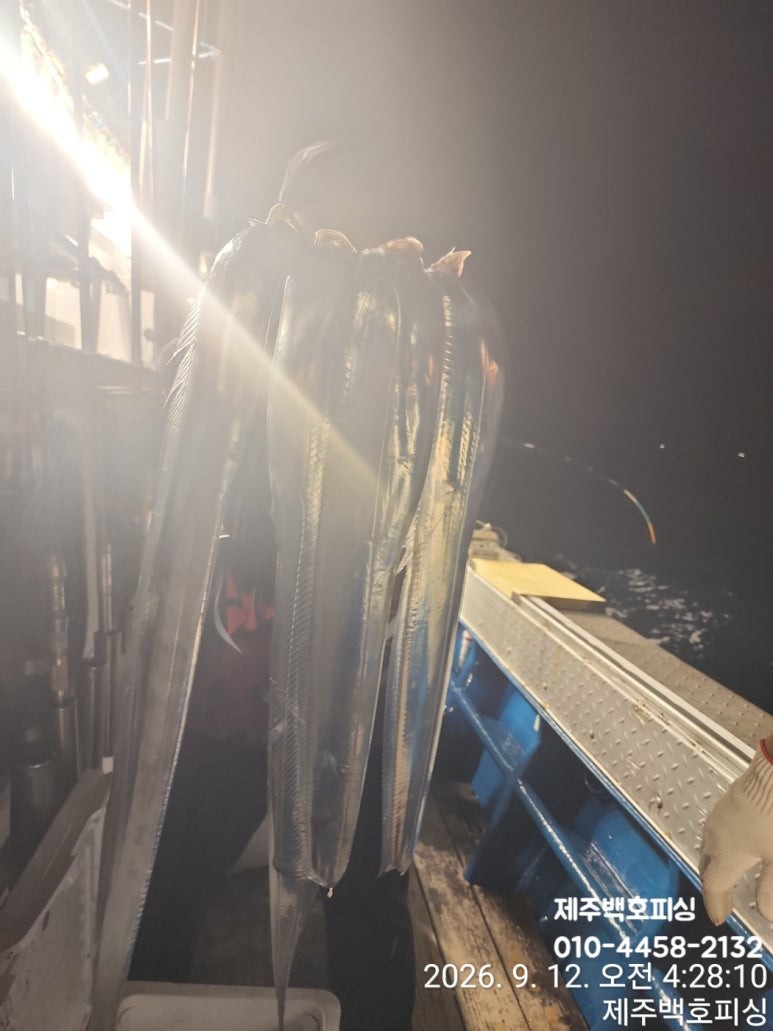 9월 12일 제주 갈치 선상낚시 조황 현장 사진 25