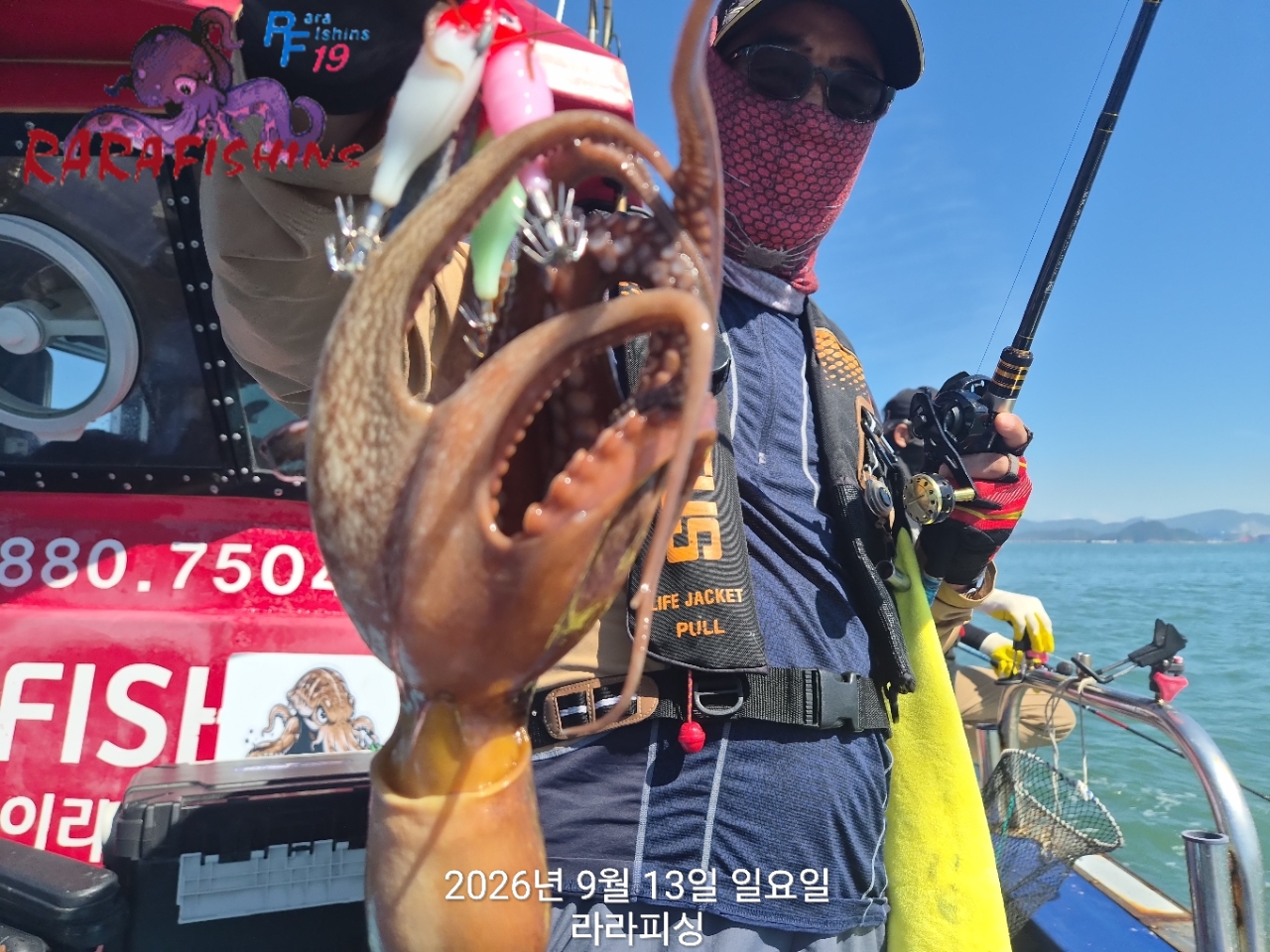 9월 13일 진해 문어 선상낚시 조황 현장 사진 11