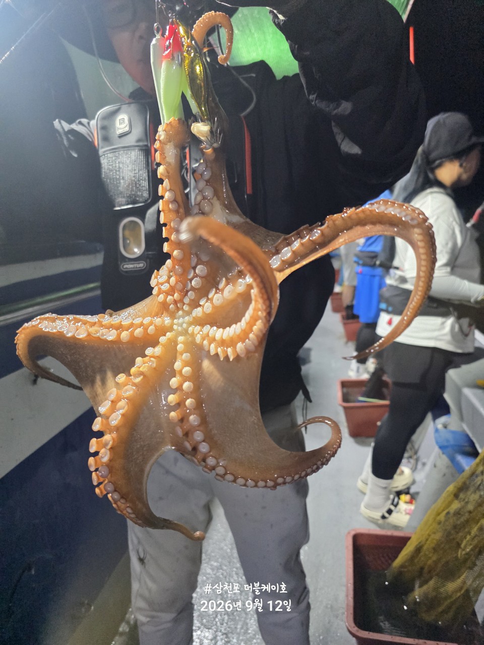 9월 13일 문어 선상낚시 조황 현장 사진 22