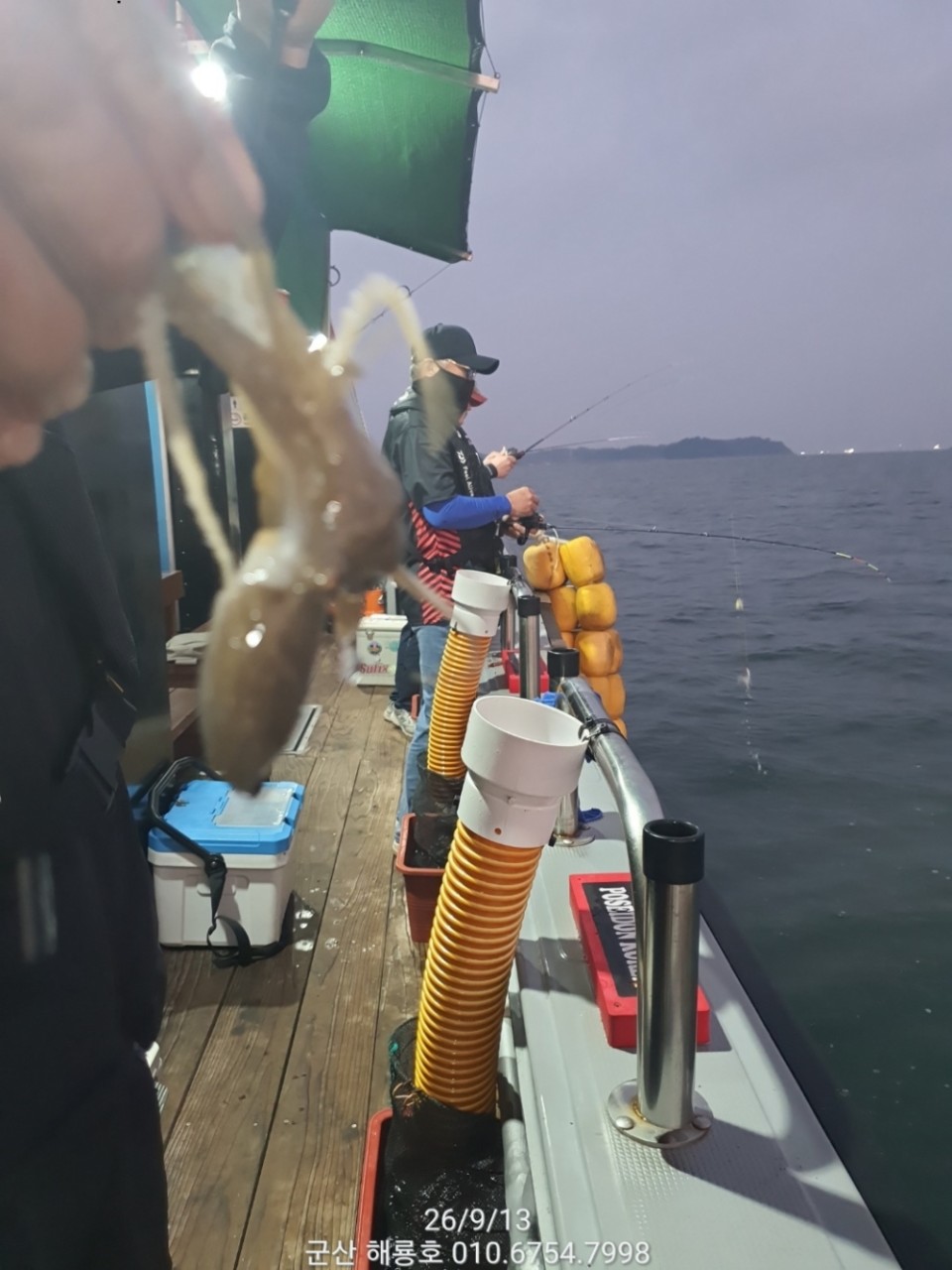 9월 13일 군산 주꾸미 선상낚시 조황 현장 사진 19