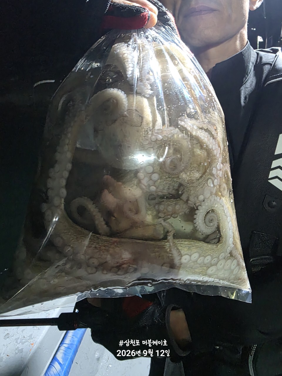 9월 13일 문어 선상낚시 조황 현장 사진 28