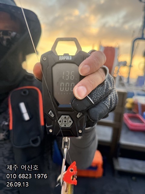 9월 12일 제주 갑오징어 선상낚시 조황 현장 사진 2