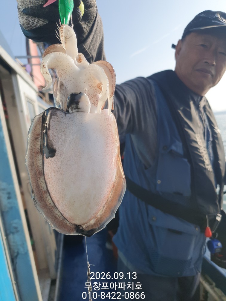 9월 13일 포항 주꾸미 선상낚시 조황 현장 사진 10