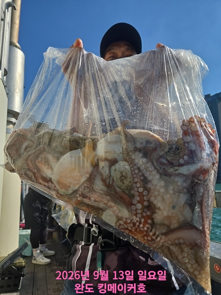 9월 13일 주꾸미 선상낚시 조황 현장 사진 8