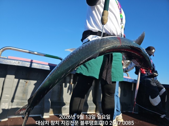 9월 13일 선상낚시 조황 현장 사진 16
