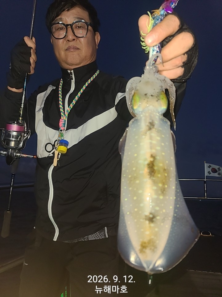 9월 13일 포항 무늬오징어 선상낚시 조황 현장 사진 14