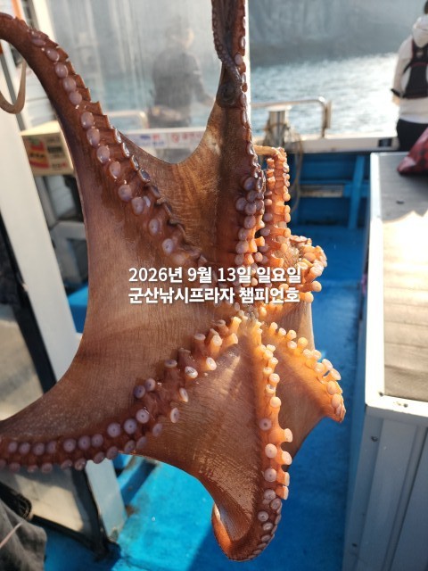 9월 13일 선상낚시 조황 현장 사진 6