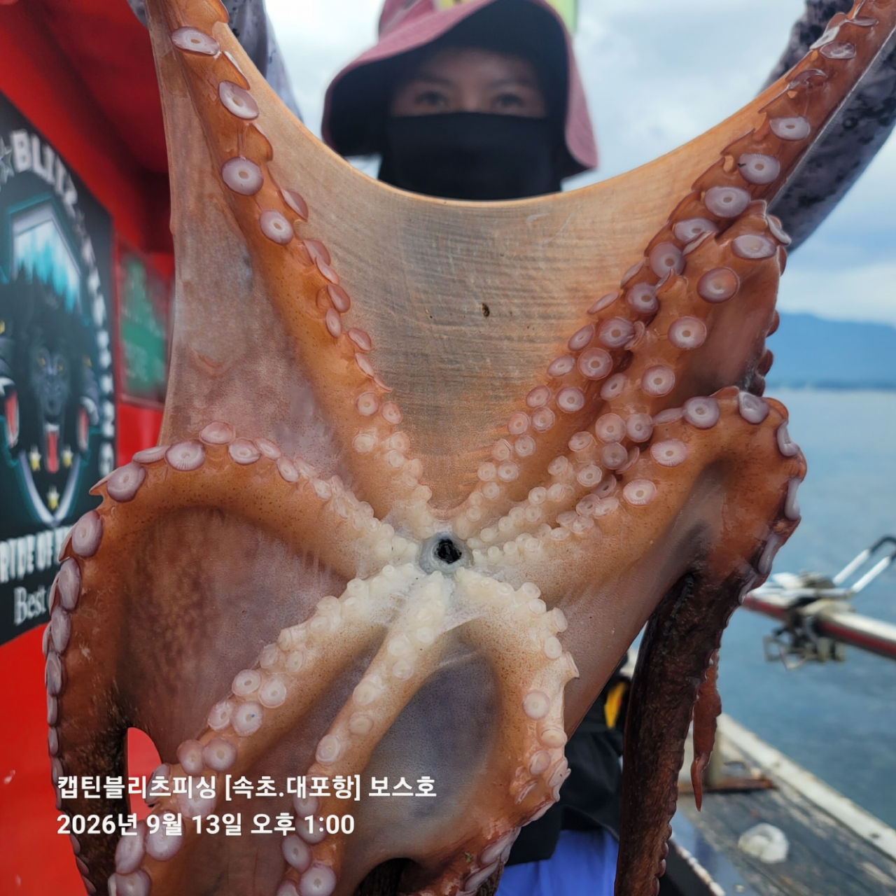 9월 14일 포항 문어 선상낚시 조황 현장 사진 3