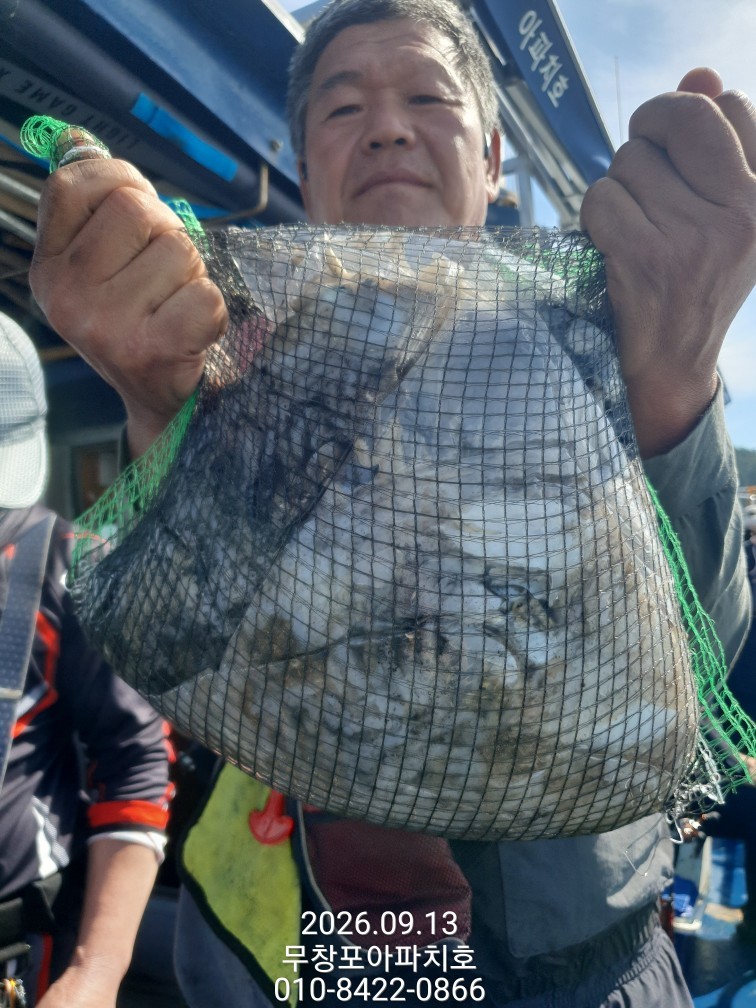 9월 13일 포항 주꾸미 선상낚시 조황 현장 사진 7