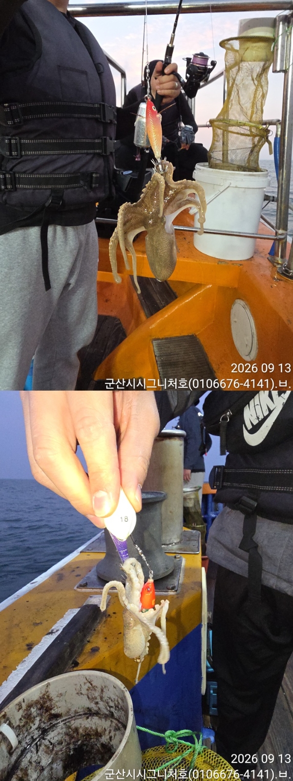 9월 13일 군산 갑오징어 선상낚시 조황 현장 사진 5