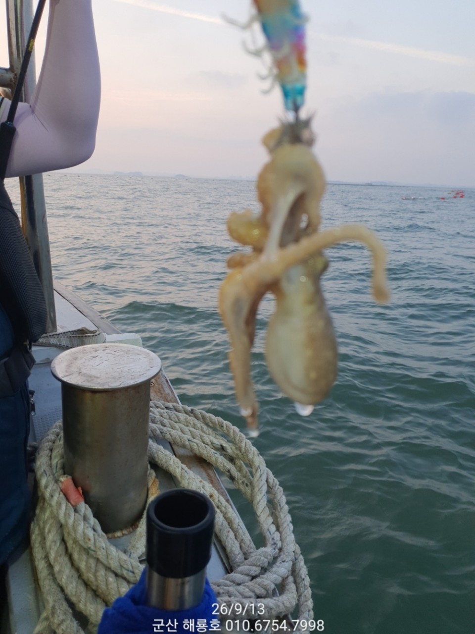 9월 13일 군산 주꾸미 선상낚시 조황 현장 사진 18