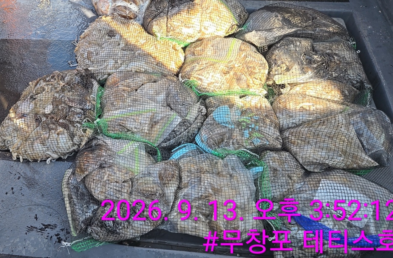 9월 13일 갑오징어 선상낚시 조황 현장 사진 3