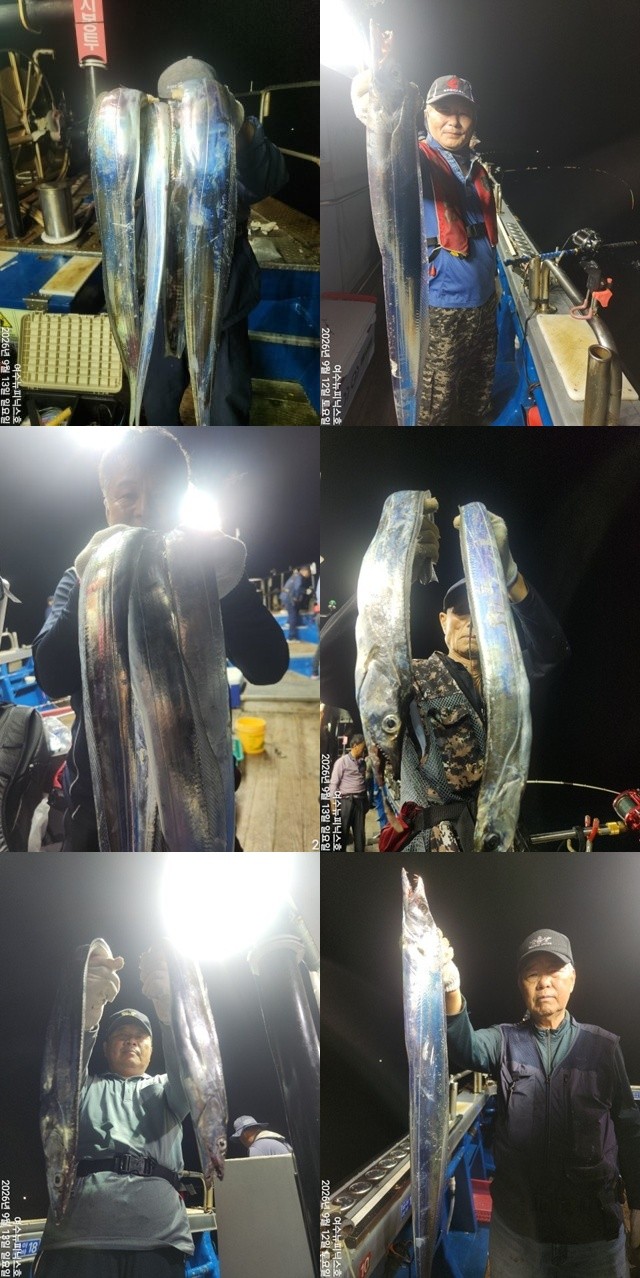 9월 13일 남해 갈치 선상낚시 조황 현장 사진 2