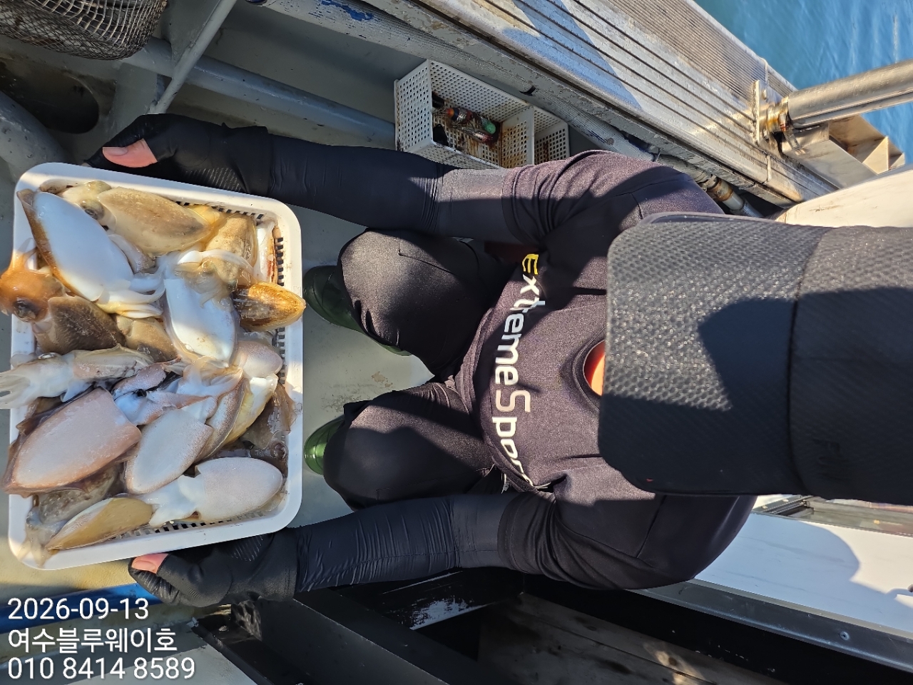 9월 13일 여수 갑오징어 선상낚시 조황 현장 사진 3
