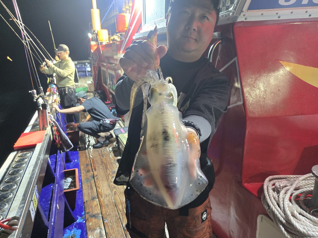 9월 13일 무늬오징어 선상낚시 조황 현장 사진 12