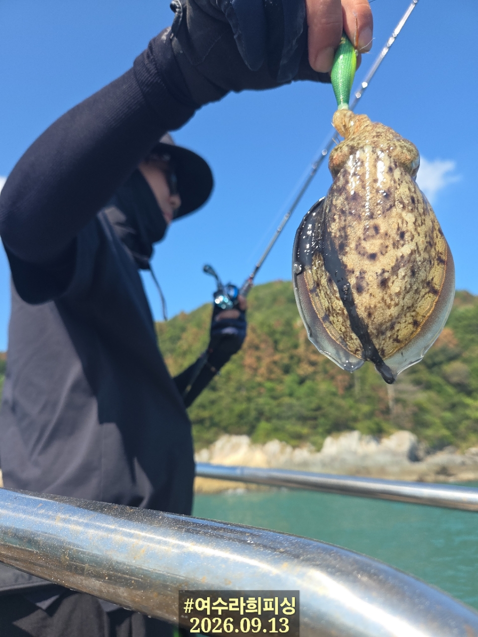 9월 13일 갑오징어 선상낚시 조황 현장 사진 17