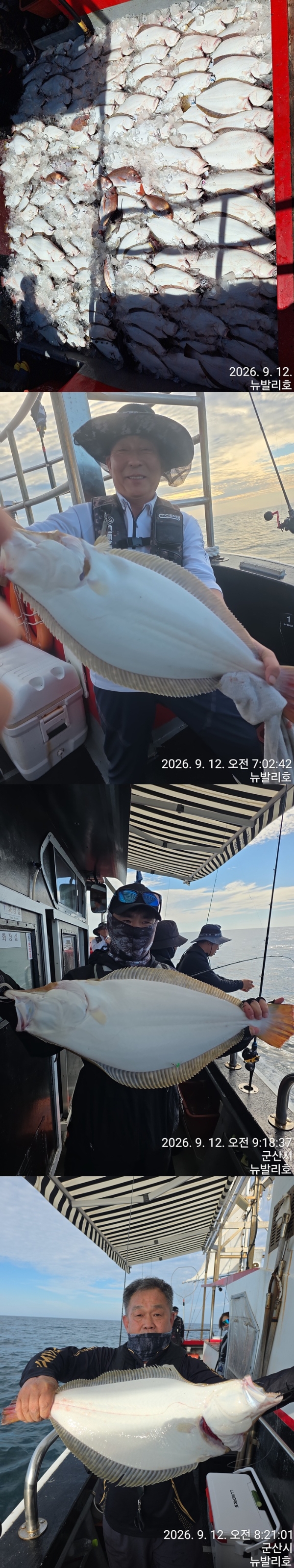 9월 13일 군산 갑오징어 선상낚시 조황 현장 사진 3