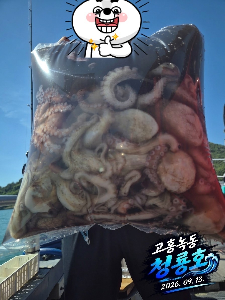 9월 13일 문어 선상낚시 조황 현장 사진 5